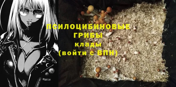 твердый Покров