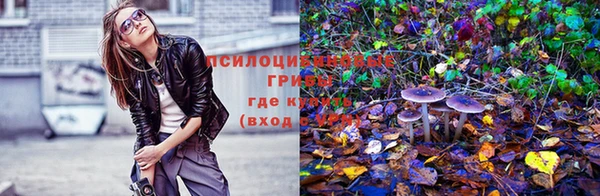твердый Покров
