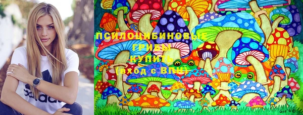 твердый Покров